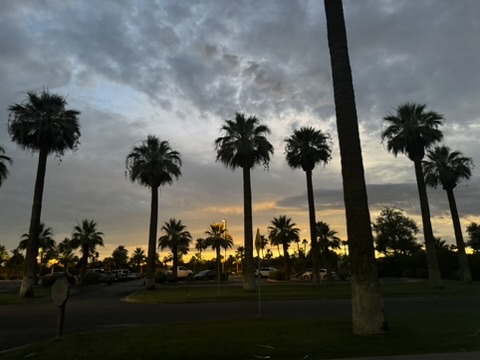 Living in Litchfield Park Arizona